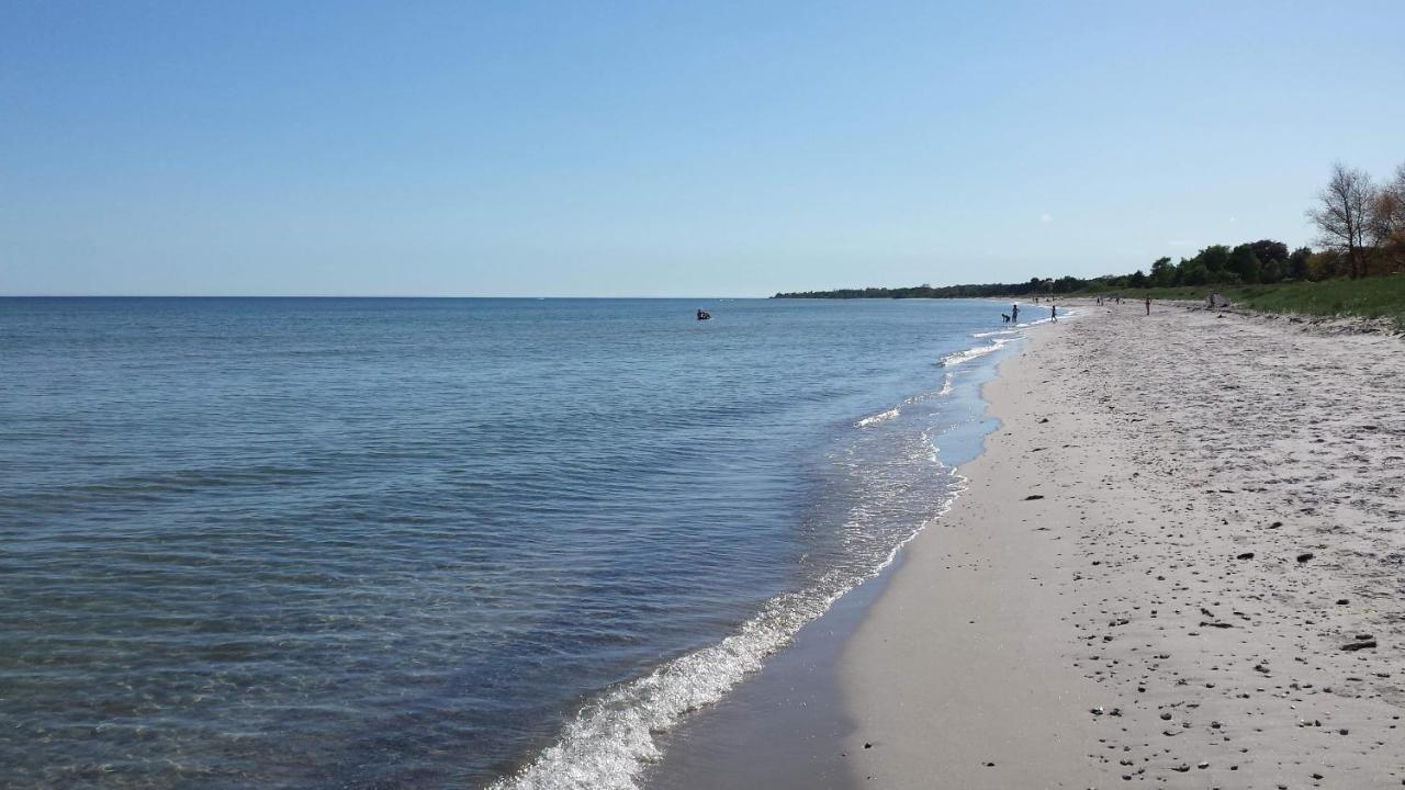 Strandboende Beddinge Strand Екстериор снимка